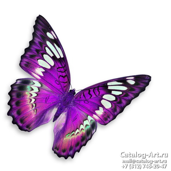  Butterflies 131